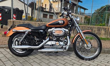 harley davison 1200 custom anniversary 