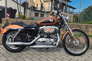 harley davison 1200 custom anniversary 