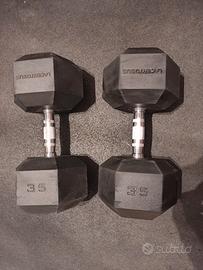 Rastrelliera lacertosus e coppia manubri 