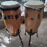 congas  misure 10 / 12 