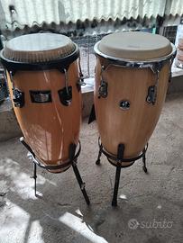 congas  misure 10 / 12 