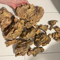 Pietre per acquario Dragon Stone