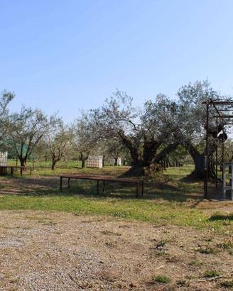 Terreno di 3000 m² a Calusco d'Adda