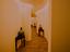 Immagine 18