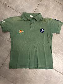 Polo scout cngei
