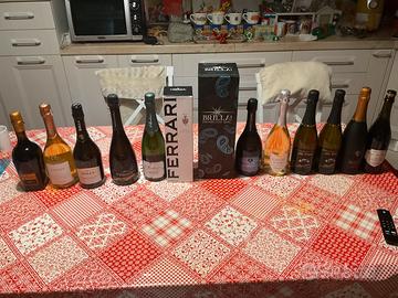 Lotto Prosecchi, Spumanti e Lambruschi