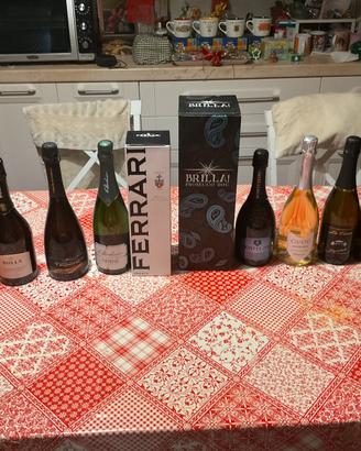 Lotto Prosecchi, Spumanti e Lambruschi