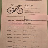 Ebaike gravel/strada