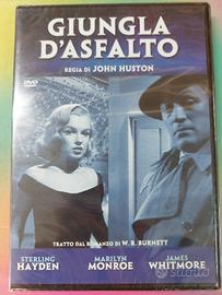 Giungla d'asfalto.Dvd