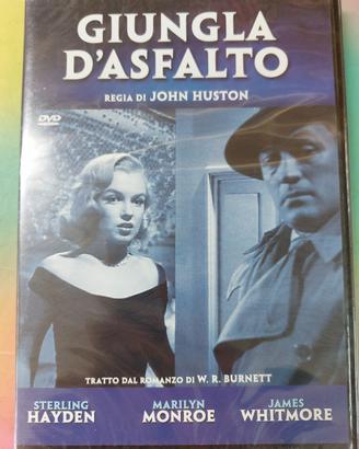 Giungla d'asfalto.Dvd