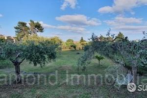 Terreno di 750 mq a presa -piedimonte etneo