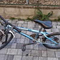 BMX 20 pollici