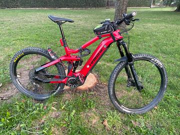 Haibike allmnt CF 12