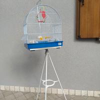 gabbietta per canarini