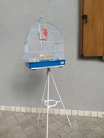 gabbietta per canarini