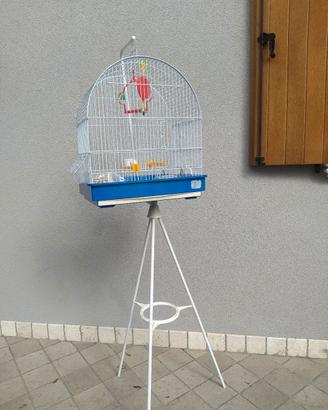 gabbietta per canarini
