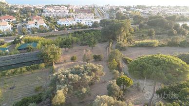 Terreno agricolo Sperlonga