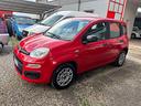 fiat-panda-1-2-trussardianno-2020-km-23600-x-neopa