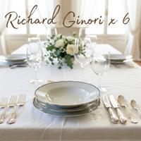 Servizio 18 Pezzi Richard Ginori - Bordo Blu e Oro