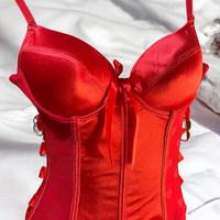 Bustier Lingerie red