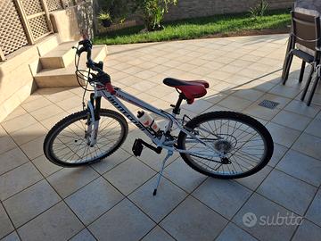 Montabike Bottecchia 