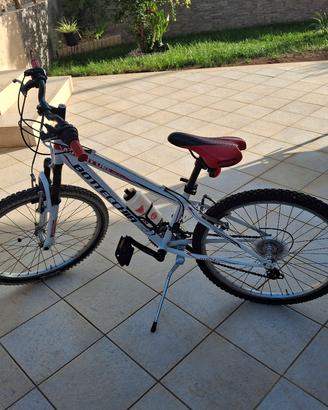 Montabike Bottecchia 