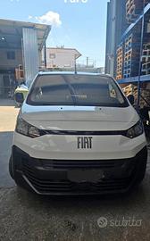Fiat scudo frigo coibentato  con atp