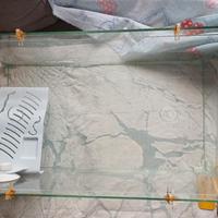 tartarughiera  in vetro con coperchio