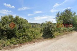 Terreno Agricolo Manduria [1096VCG]