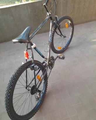 MTB   BOTTECCHIA 