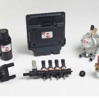 CENTRALINE POLMONI E INIETTORI PER AUTO GAS /METAN