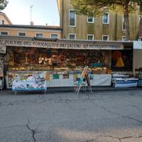 Attività ambulante PD VE RO