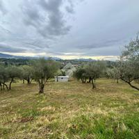 TER. AGRICOLO A VEROLI