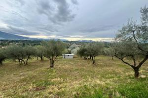 TER. AGRICOLO A VEROLI