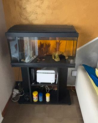 Acquario