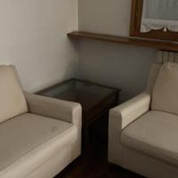 Due divani per salotto