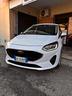 ford-fiesta-1-0-ecoboost-hybrid-125-cv-3-porte-van