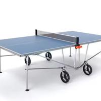 Tavolo da ping pong