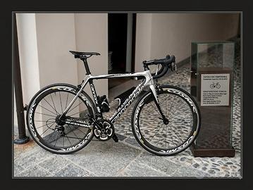 Bici da corsa cannodale