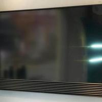 beovision horizon 48