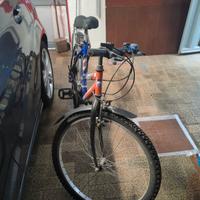 Mountain bike donna