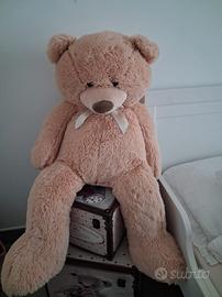 orso peluche 
