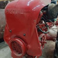 pasquali 12cv