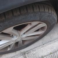 Nissa Juke gpl