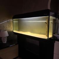 Acquario 250 litri