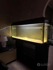 Acquario 250 litri