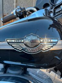 Harley Davidson in perfette condizioni