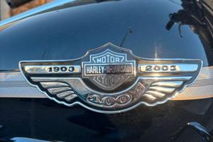 Harley Davidson in perfette condizioni