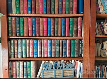 collana di 60 libri tutti in finta pelle colorata 