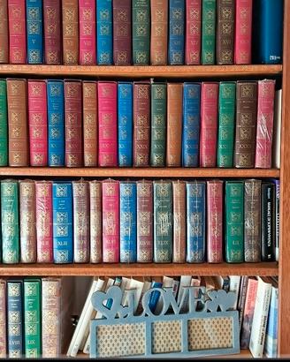 collana di 60 libri tutti in finta pelle colorata 